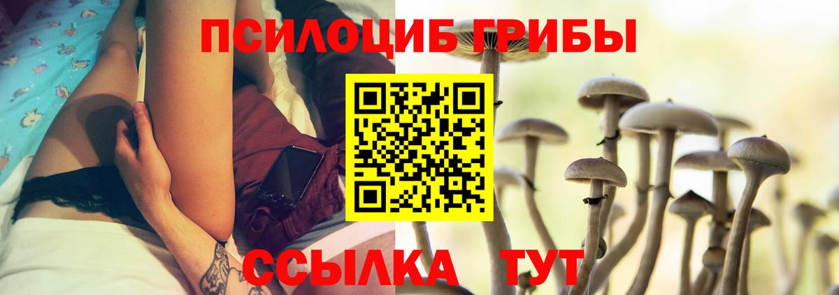 Галлюциногенные грибы Psilocybine cubensis  Псилоцибиновые грибы мицелий  наркотики  Вход с VPN  Алапаевск 